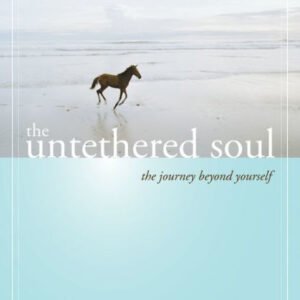 the untethered soul by michael a. singer